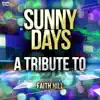 Ameritz Top Tributes - Sunny Days: A Tribute to Faith Hill - Single